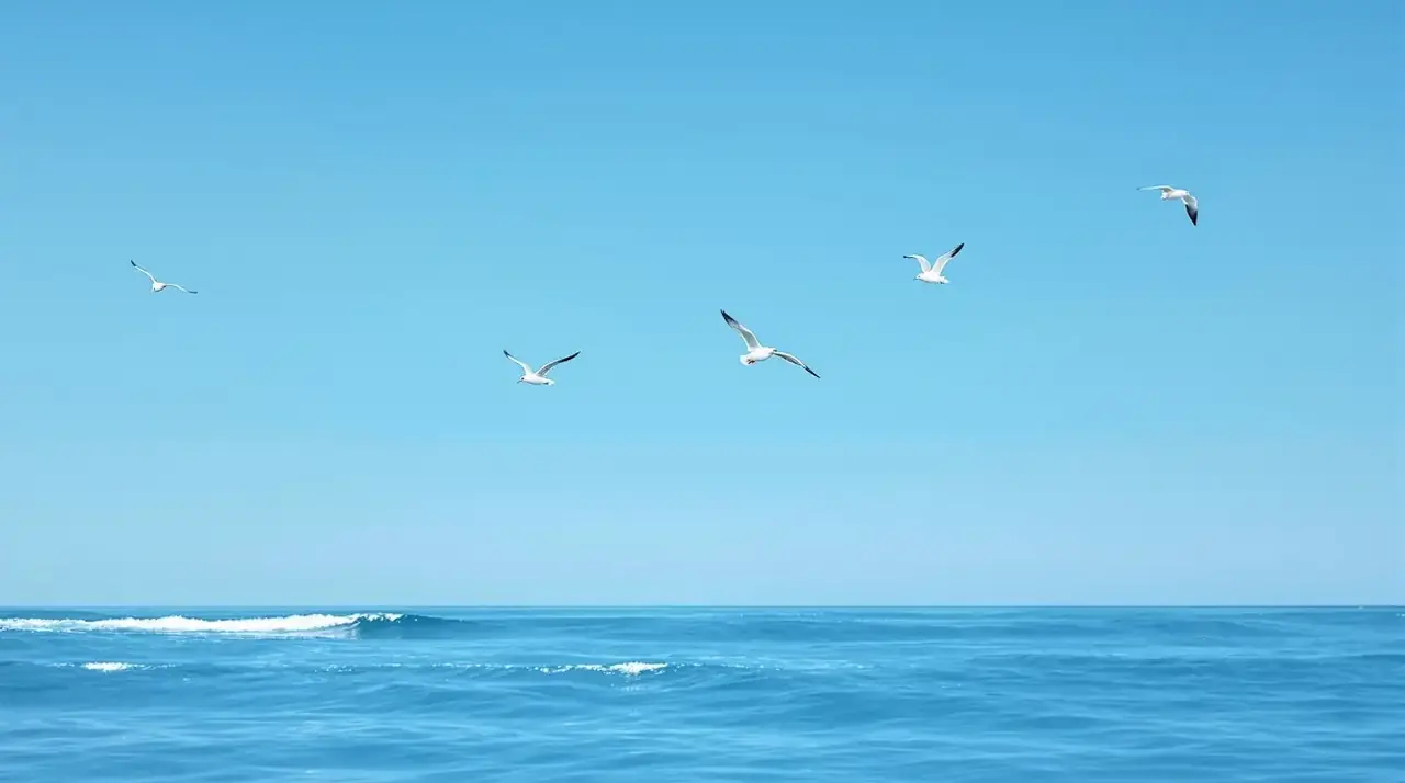 海鸥翱翔